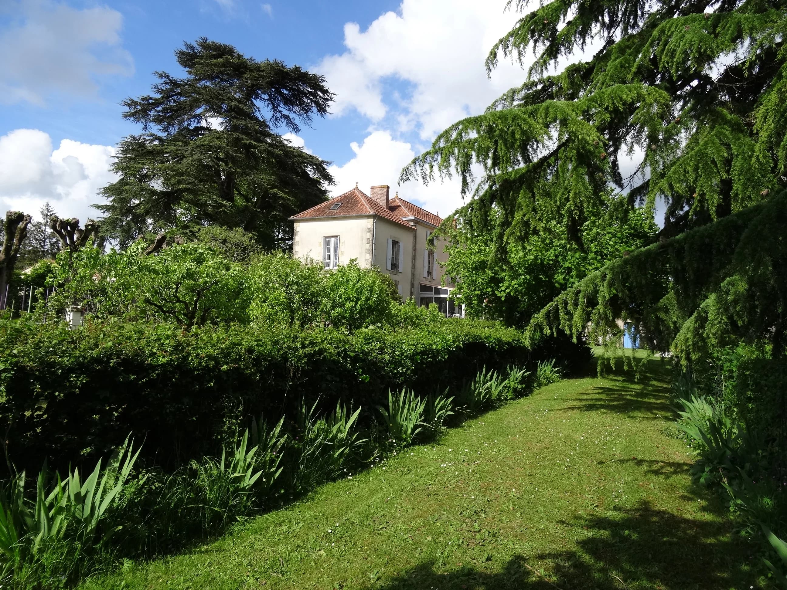 Photo du parc du gîte